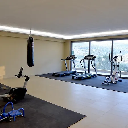 Hotel Aeolis Thassos Palace 4*