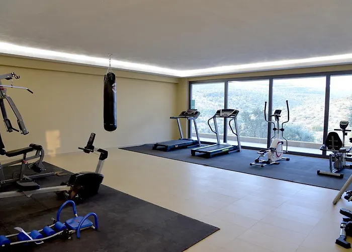 ホテル Aeolis Thassos Palace 4*