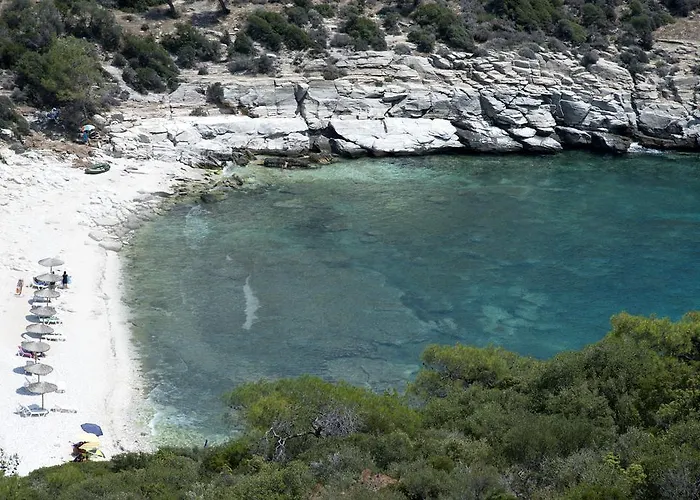 Aeolis Thassos Palace ポトス