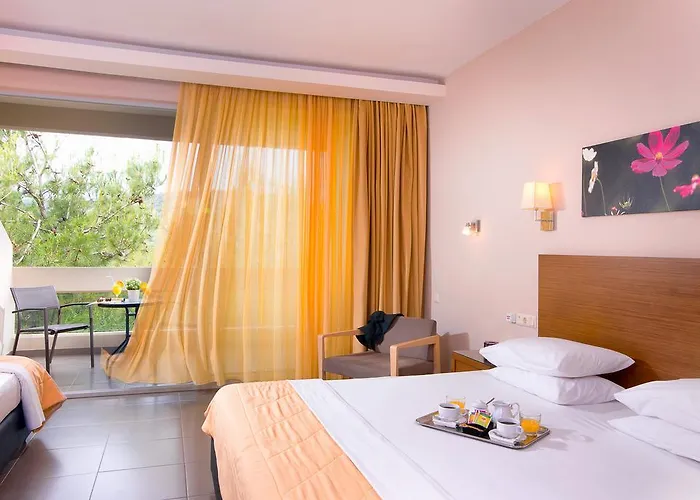 ホテル Aeolis Thassos Palace 4*