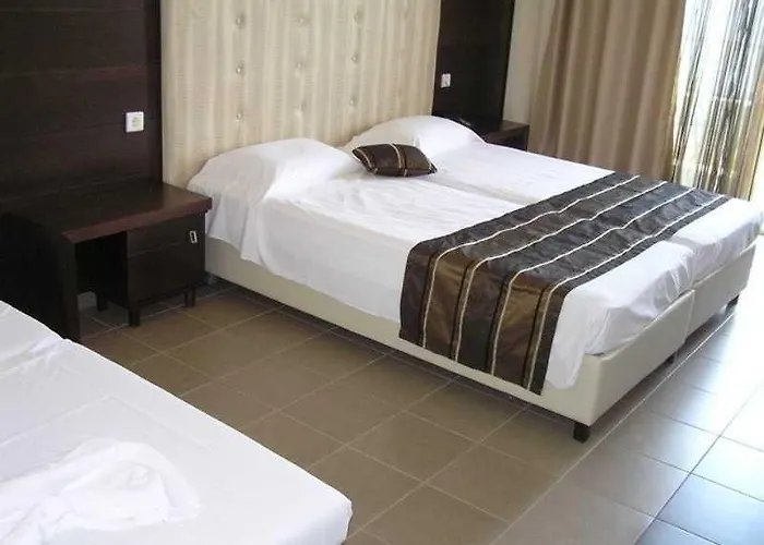 ホテル Aeolis Thassos Palace 4*